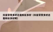 抖音获赞多好还是粉丝多好（抖音获赞多好还是粉丝多好呢）