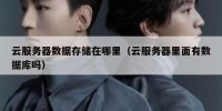 云服务器数据存储在哪里（云服务器里面有数据库吗）