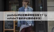 youtube评论区翻译按钮没有了?（youtube下面的评论翻译成中文）