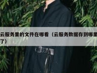 云服务里的文件在哪看（云服务数据存到哪里了）