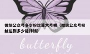 微信公众号多少粉丝算大号呢（微信公众号粉丝达到多少能挣钱）
