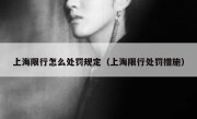 上海限行怎么处罚规定（上海限行处罚措施）