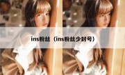 ins粉丝（ins粉丝少封号）