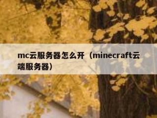 mc云服务器怎么开（minecraft云端服务器）