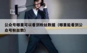 公众号哪里可以看到粉丝数据（哪里能看到公众号粉丝数）