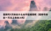 视频号5万粉丝什么水平能赚钱呢（视频号粉丝一万以上有收入吗）