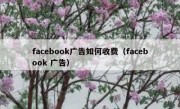 facebook广告如何收费（facebook 广告）