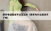 派币电话验证不过怎么办（派币为什么验证不了呢）