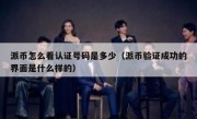 派币怎么看认证号码是多少（派币验证成功的界面是什么样的）