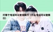打那个电话可以查询限行（什么电话可以查限行）