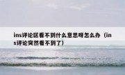ins评论区看不到什么意思呀怎么办（ins评论突然看不到了）
