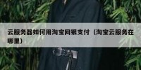 云服务器如何用淘宝网银支付（淘宝云服务在哪里）