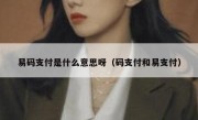 易码支付是什么意思呀（码支付和易支付）