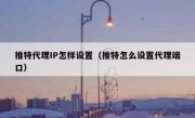 推特代理IP怎样设置（推特怎么设置代理端口）