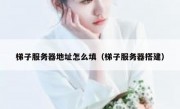 梯子服务器地址怎么填（梯子服务器搭建）