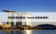 马斯克推特粉丝（musk马斯克推特）