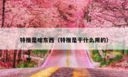 特推是啥东西（特推是干什么用的）