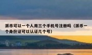 派币可以一个人用三个手机号注册吗（派币一个身份证可以认证几个号）