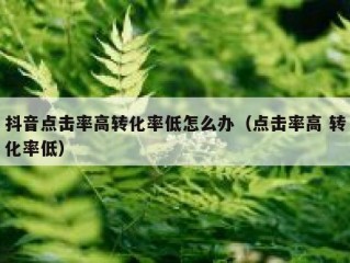 抖音点击率高转化率低怎么办（点击率高 转化率低）