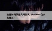 推特如何发推文给别人（twitter怎么发推文）