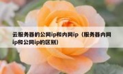 云服务器的公网ip和内网ip（服务器内网ip和公网ip的区别）