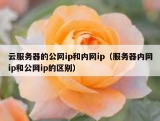 云服务器的公网ip和内网ip（服务器内网ip和公网ip的区别）