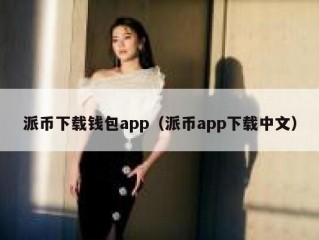 派币下载钱包app（派币app下载中文）