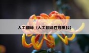 人工翻译（人工翻译在哪里找）