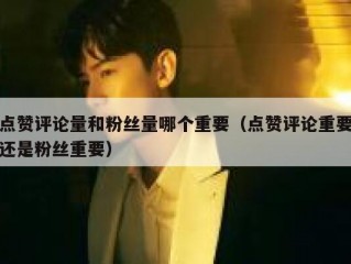 点赞评论量和粉丝量哪个重要(点赞评论重要还是粉丝重要)