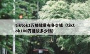 tiktok1万播放量有多少钱（tiktok100万播放多少钱）