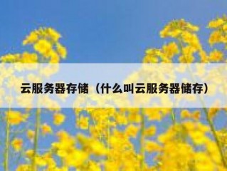 云服务器存储（什么叫云服务器储存）