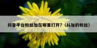 抖音平台粉丝加在哪里打开?（抖加的粉丝）