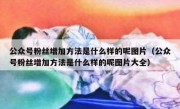 公众号粉丝增加方法是什么样的呢图片（公众号粉丝增加方法是什么样的呢图片大全）