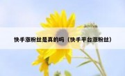 快手涨粉丝是真的吗（快手平台涨粉丝）