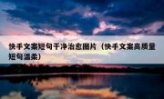 快手文案短句干净治愈图片（快手文案高质量短句温柔）