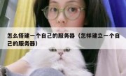 怎么搭建一个自己的服务器（怎样建立一个自己的服务器）