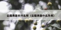 云服务器长什么样（云服务器什么作用）