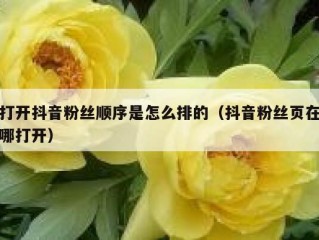 打开抖音粉丝顺序是怎么排的（抖音粉丝页在哪打开）