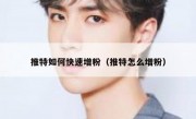 推特如何快速增粉（推特怎么增粉）