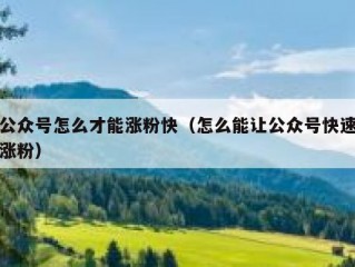 公众号怎么才能涨粉快（怎么能让公众号快速涨粉）
