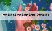 外网搭梯子是什么意思网络用语（外网架梯子）