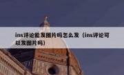 ins评论能发图片吗怎么发（ins评论可以发图片吗）