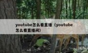 youtube怎么看直播（youtube怎么看直播间）