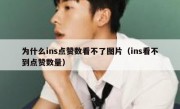 为什么ins点赞数看不了图片（ins看不到点赞数量）