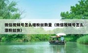 微信视频号怎么增粉丝数量（微信视频号怎么涨粉丝快）