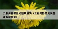 云服务器常见问题及解决（云服务器常见问题及解决措施）
