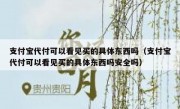 支付宝代付可以看见买的具体东西吗（支付宝代付可以看见买的具体东西吗安全吗）