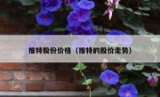 推特股份价格（推特的股价走势）
