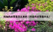 抖加的点赞是怎么来的（抖音的点赞是什么）