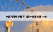 外国网站梯子推荐（国外梯子软件 app）